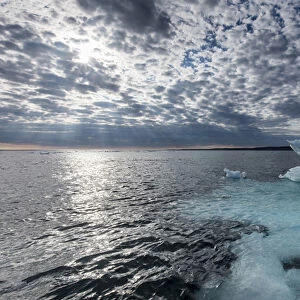 Canada, Nunavut Territory, Ukkusiksalik National Park, Melting iceberg floating in