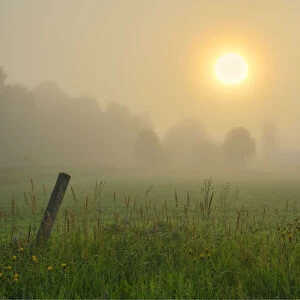 Canada, Ontario, Bourget. Farm field at sunrise in fog