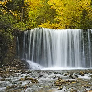 Canada, Ontario. Boyne River at Hoggs Falls in autumn