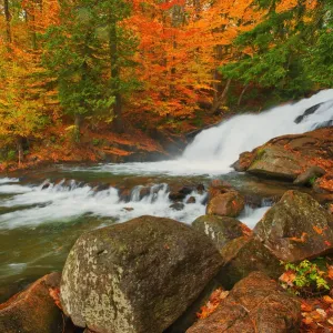 Canada, Ontario, Rosseau. Skeleton River at Hatchery Falls in autumn
