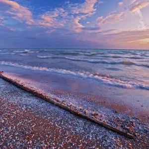 Canada, Ontario, Sandbanks Provincial Park. Pebbles and shells on Lake Ontario shoreline