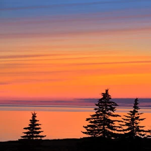 Canada, Prince Edward Island, West Cape. Trees silhouetted by water at dusk. Credit as