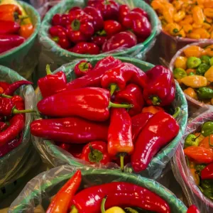 Canada Print: Little Italy Peppers at Marche Jean Talon Market Canada Print: Little Italy Peppers at Marche Jean Talon Market