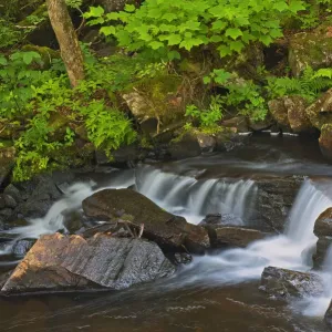 Canada, Quebec, Parc National du Mont-Tremblant. Scenic of waterfall over rocks