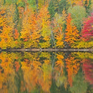 Canada, Quebec, Saint-Mathieu-du-Parc. Autumn colors reflected in Lac Trudel