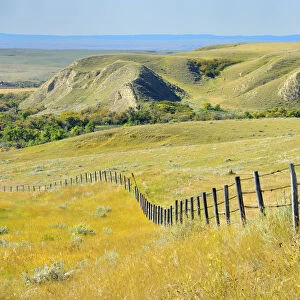 Canada, Saskatchewan, Maple Creek. Fence and prairie landscape