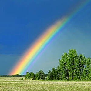 Canada, Saskatchewan, Wroxton. Rainbow over grassland