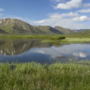 Canada, Yukon Territory, Tombstone Territorial Park. Mountain and lake landscape Canada, Yukon Territory, Tombstone Territorial Park. Mountain and lake landscape