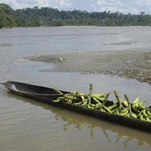 Canoe on Misahualli River which runs into the Napo River Amazon Rain Forest. ECUADOR