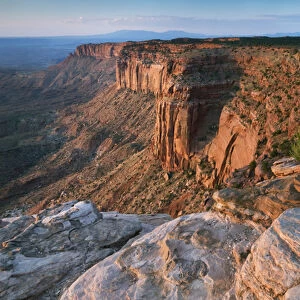 Canyon overlook in the Island in the sky district, Canyonlands National Park, Utah, USA