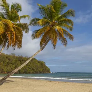 La Sagesse Beach Print, Caribbean Landscape La Sagesse Beach Print, Caribbean Landscape