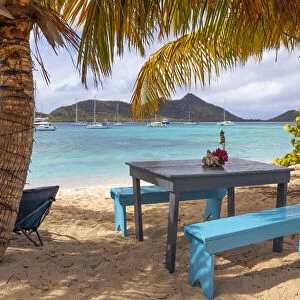 Caribbean, Grenada, Sandy Island. Picnic table and hammock on beach