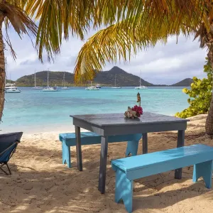 Grenada Sandy Island Beach Scene Print Grenada Sandy Island Beach Scene Print