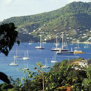 Caribbean, Grenadines, St. Vincent, Bequia. Harbor