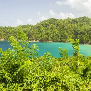 Caribbean, Tobago. Ocean cove and jungle landscape. Credit as