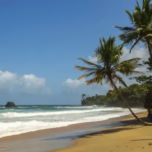 Caribbean, Trinidad, Blanchisseuse Bay. Beach and ocean landscape