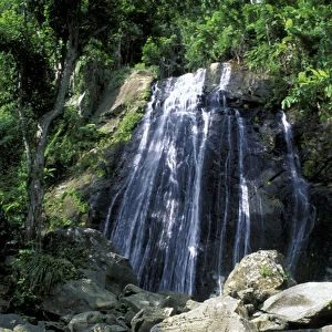 Caribbean, USA, Puerto Rico, El Yunque National Rain Forest. Waterfall