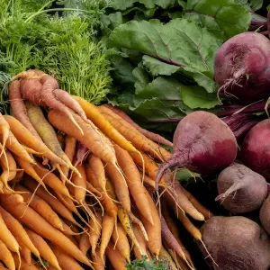 Carrots and Beets Print, USA Carrots and Beets Print, USA