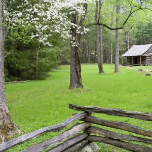 Carter Shields Cabin in spring, Cades Cove area, Great Smoky Mountains National Park, TN