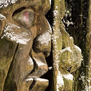 Carving, Stanley Park, British Columbia (Artist Unknown)