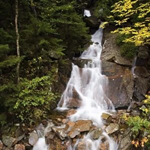 Cascades on Deer Brook in Maines Acadia National Park