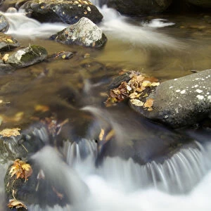 Cascading autumn stream, Hazel River, Sams Ridge Trail, Shenandoah NP, Virginia