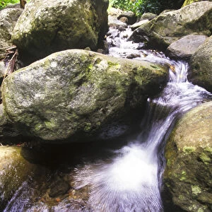 Cascading stream in rainforest near Mount Liamuiga (3, 792ft), St Kitts, Caribbean