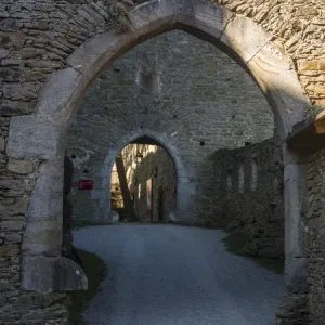 The castle ruin Aggstein high above the Danube in the Wachau. The Wachau is a famous vineyard The castle ruin Aggstein high above the Danube in the Wachau. The Wachau is a famous vineyard