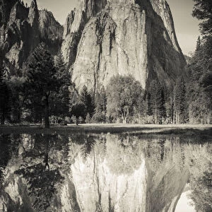 Cathedral Rocks reflected in pond, Yosemite National Park, California