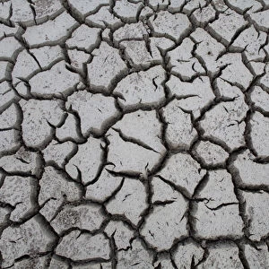 Cayman Islands, Little Cayman Island, Cracked mud of dry lake bottom at Booby Pond