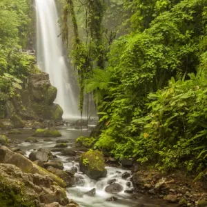 Central America, Costa Rica. Templo waterfall in rain forest