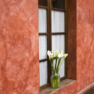 Central America, Guatemala, Antigua. Calla Lilies in vase on window ledge of hotel