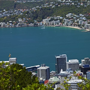 Central Business District, Wellington Harbour and Oriental Bay, Wellington, North Island, New Zealand