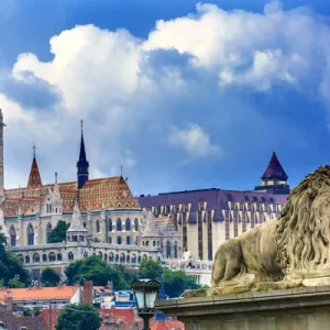 Chain Bridge Lion Print, Budapest Landmark