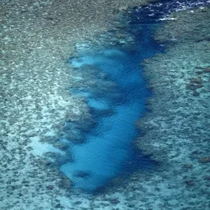 Vaimaanga Tapere Reef Channel Print