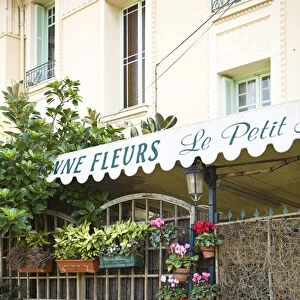 Charming flower shop. Beaulieu sur Mer. on the coastline in the South of France