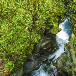 The Chasm Print, Fiordland National Park Landscape Photo The Chasm Print, Fiordland National Park Landscape Photo