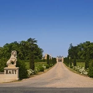 Chateau Haut Sarpe with two lion stone statues and a road lined with bushes leading up to the gate