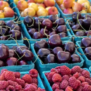 Cherry and Berry Print Cherry and Berry Print