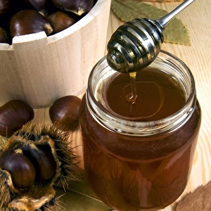Chestnut (Castanea sativa) honey in jar