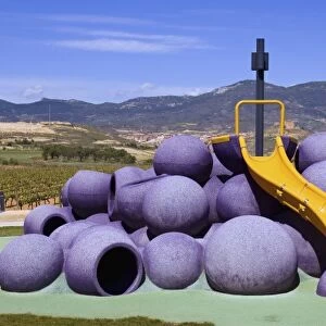 Childrens play structure made to look like purple grapes at the Museo de la Cultura del Vino