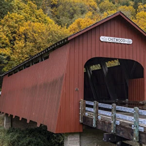 Chitwood Covered Bridge in autumn in Lincoln County, Oregon, USA