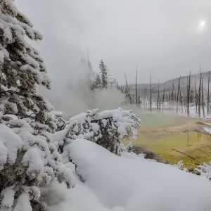 Cistern Spring in the Norris Geyser Basin in winter in Yellowstone National Park Cistern Spring in the Norris Geyser Basin in winter in Yellowstone National Park