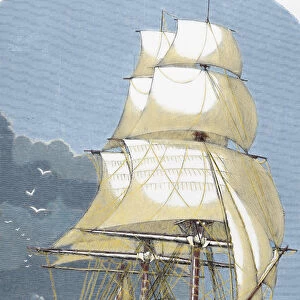 Clipper. 19th century. Colored engraving