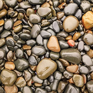 Close-up of beach rocks, Oregon