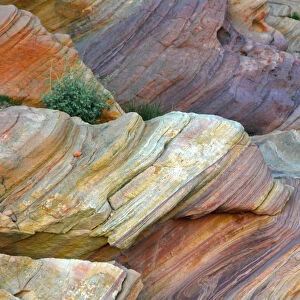Close-up of Rainbow Vista, Valley of Fire State Park, Nevada, USA