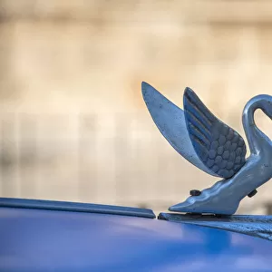 Close-up of a swan hood ornament on a classic blue American car in Vieja, old Habana
