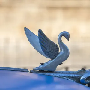 Classic Blue American Car Swan Hood Ornament Print Classic Blue American Car Swan Hood Ornament Print