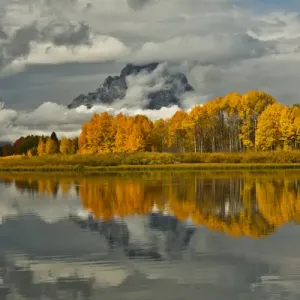 cloudy autumn day, Oxbow, Grand Teton National Park, Wyoming, USA