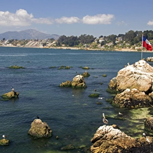 Coastal scene at Concon on the Pacific Ocean in Chile